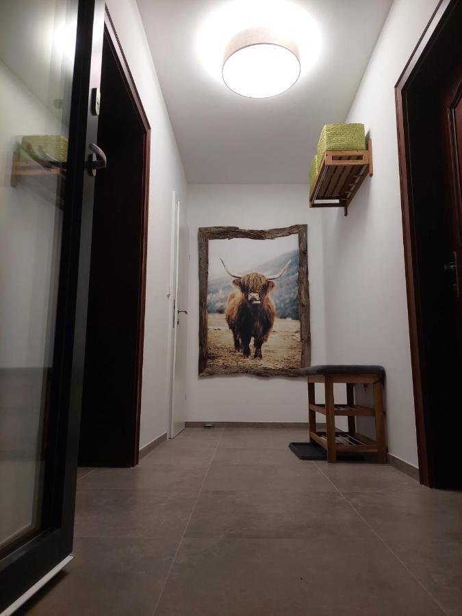 Dolomitenhome Apartments Patriasdorf المظهر الخارجي الصورة